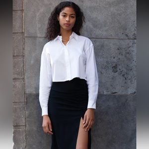Aritzia Babaton Clooney Blouse